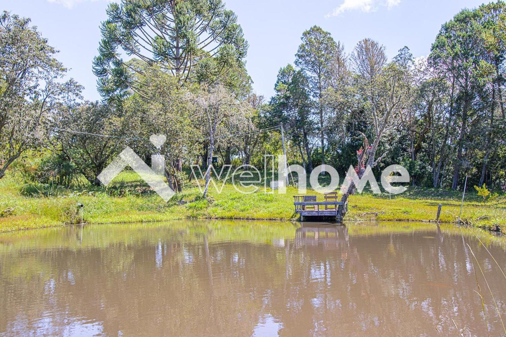 Casa De Campo Em Regiao Serrana De Cunha - Sp. Luaran gambar